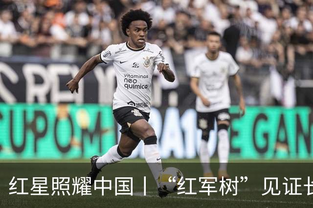红星照耀中国丨“红军树”见证长征路